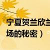 宁夏贺兰欣兰广场图说明什么（贺兰县欣兰广场的秘密）