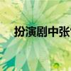 扮演剧中张雷是哪部电视剧（张雷演员）