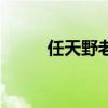 任天野老婆朱荔莘（任天野老婆）