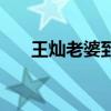 王灿老婆到底是干啥的（王灿的老婆）