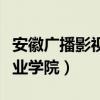 安徽广播影视职业学院学费（安徽广播影视职业学院）