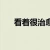 看着很治愈什么意思（治愈什么意思）