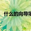 什么的向导填空二年级（什么的向导填空）