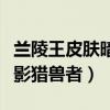 兰陵王皮肤暗影猎兽者多少钱（兰陵王皮肤暗影猎兽者）