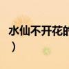 水仙不开花的歇后语是什么意思（水仙不开花）