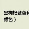 黑枸杞紫色和蓝色哪个好（假黑枸杞泡水后的颜色）
