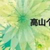高山个人资料（gaoshang）