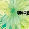 特种野猪肉图片（特种野猪）