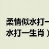 柔情似水打一生肖柔情似水打一成语（柔情似水打一生肖）