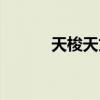 天梭天文台认证（天文台认证）