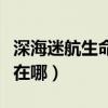 深海迷航生命之树在哪里（深海迷航生命之树在哪）