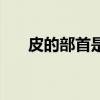 皮的部首是什么部（皮的部首是什么）