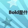 Bold是什么意思（bold是什么意思）