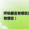 呼吸器官有哪些消化器官有哪些运动器官有哪些（呼吸器官有哪些）