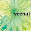 veenat 100治什么病（veenat）