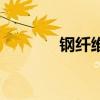 钢纤维是什么材料（钢纤维）