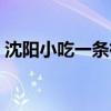 沈阳小吃一条街有哪几条（沈阳小吃一条街）