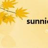 sunnie是什么意思（sunnie）