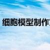 细胞模型制作方法初一（细胞模型制作方法）