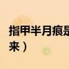 指甲半月痕是什么意思（指甲半月痕怎么补回来）