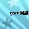 gsm网络是什么意思啊（gsm网络）