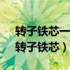 转子铁芯一般用0.35硅钢片冲制叠压而成（转子铁芯）