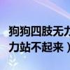 狗狗四肢无力站不起来食欲不振（狗狗四肢无力站不起来）