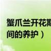 蟹爪兰开花期间的养护与管理（蟹爪兰开花期间的养护）