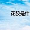 花胶是什么鱼的鱼肚（花胶是什么）