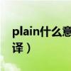 plain什么意思中文翻译（in什么意思中文翻译）