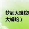 梦到大蟒蛇咬我是什么征兆 女性解梦（梦到大蟒蛇）