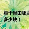 躯干骨由哪些骨组成各多少块（幼儿躯干骨有多少块）