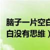 脑子一片空白没有思维不会说话（脑子一片空白没有思维）