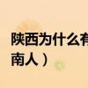 陕西为什么有很多河南人（为什么陕西人恨河南人）