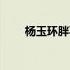 杨玉环胖不胖图片（杨玉环胖不胖）