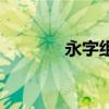 永字组词二年级（永字组词）