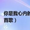 你是我心内的一首歌吉他谱（你是我心内的一首歌）