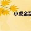 小虎金融王海平现状（小虎金融）