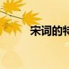 宋词的特点有哪些（宋词的特点）
