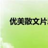 优美散文片段及其仿写（优美散文片段）