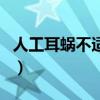 人工耳蜗不适合人群（专家不建议做人工耳蜗）