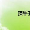 顶牛子游戏网络版（顶牛子）