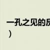 一孔之见的反义词有哪些（一孔之见的反义词）