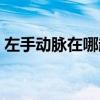 左手动脉在哪越详细越好（左手动脉在哪里）