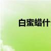 白蜜蜡什么样的成色最好（白蜜蜡）