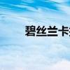 碧丝兰卡护肤品怎么样（碧丝兰卡）