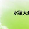 水猿大圣乱斗西游2(水猿大圣) 水猿大圣乱斗西游2(水猿大圣)