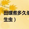 田螺煮多久杀死寄生虫子（田螺煮多久杀死寄生虫）