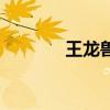 王龙兽进化路线图（王龙兽）