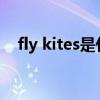 fly kites是什么意思（kites是什么意思）